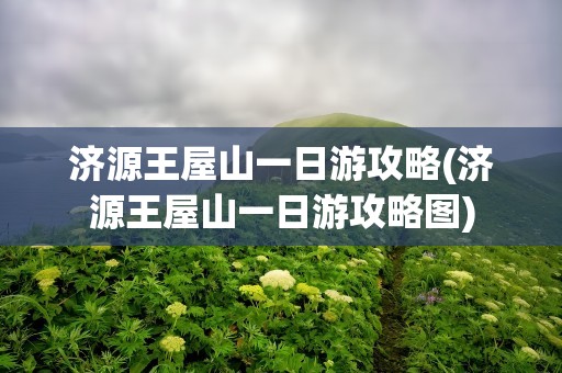 济源王屋山一日游攻略(济源王屋山一日游攻略图)