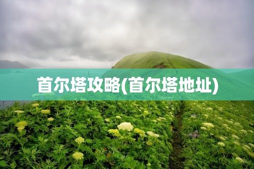 首尔塔攻略(首尔塔地址)