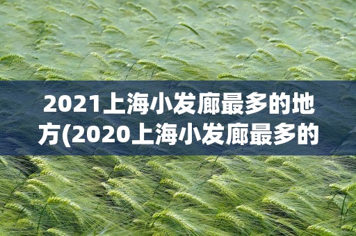 2021上海小发廊最多的地方(2020上海小发廊最多的地方)