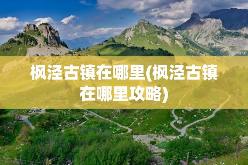 枫泾古镇在哪里(枫泾古镇在哪里攻略)