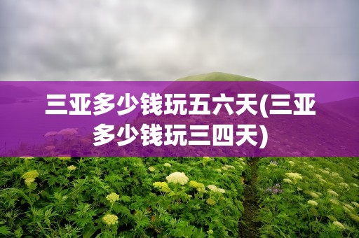三亚多少钱玩五六天(三亚多少钱玩三四天)