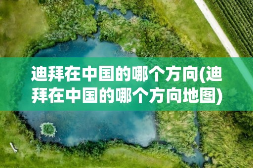 迪拜在中国的哪个方向(迪拜在中国的哪个方向地图)