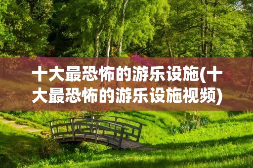 十大最恐怖的游乐设施(十大最恐怖的游乐设施视频)