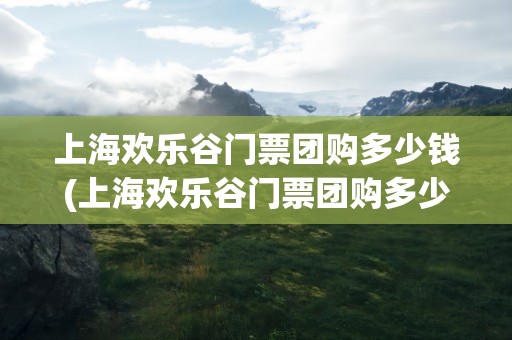 上海欢乐谷门票团购多少钱(上海欢乐谷门票团购多少钱啊)
