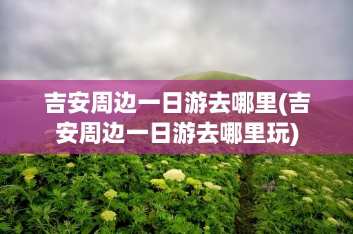 吉安周边一日游去哪里(吉安周边一日游去哪里玩)