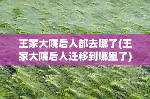 王家大院后人都去哪了(王家大院后人迁移到哪里了)
