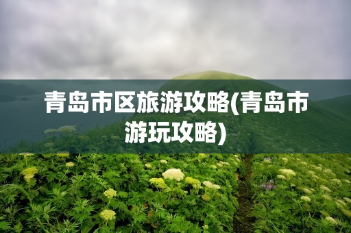 青岛市区旅游攻略(青岛市游玩攻略)