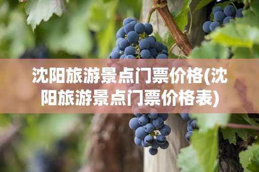 沈阳旅游景点门票价格(沈阳旅游景点门票价格表)
