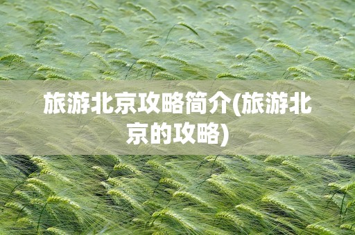 旅游北京攻略简介(旅游北京的攻略)