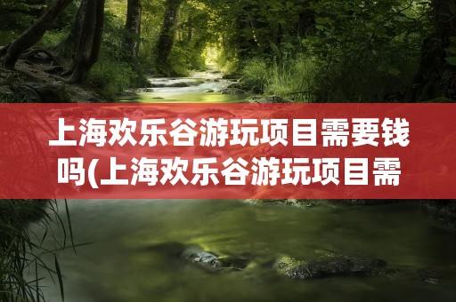 上海欢乐谷游玩项目需要钱吗(上海欢乐谷游玩项目需要钱吗现在)