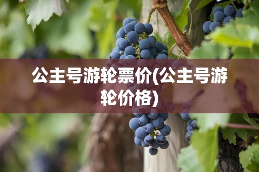 公主号游轮票价(公主号游轮价格)