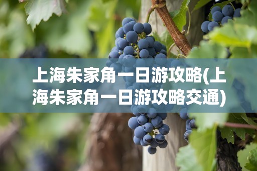 上海朱家角一日游攻略(上海朱家角一日游攻略交通)