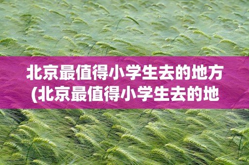 北京最值得小学生去的地方(北京最值得小学生去的地方排名)