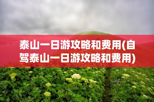 泰山一日游攻略和费用(自驾泰山一日游攻略和费用)