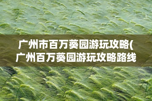 广州市百万葵园游玩攻略(广州百万葵园游玩攻略路线)