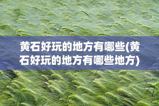 黄石好玩的地方有哪些(黄石好玩的地方有哪些地方)