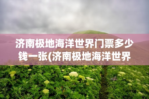 济南极地海洋世界门票多少钱一张(济南极地海洋世界门票多少钱一张票)