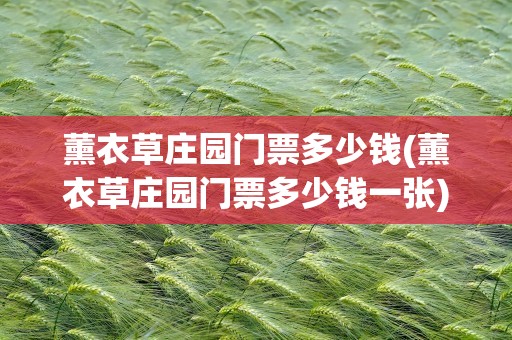 薰衣草庄园门票多少钱(薰衣草庄园门票多少钱一张)