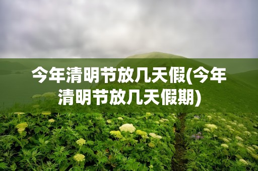 今年清明节放几天假(今年清明节放几天假期)