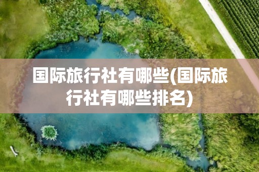 国际旅行社有哪些(国际旅行社有哪些排名)