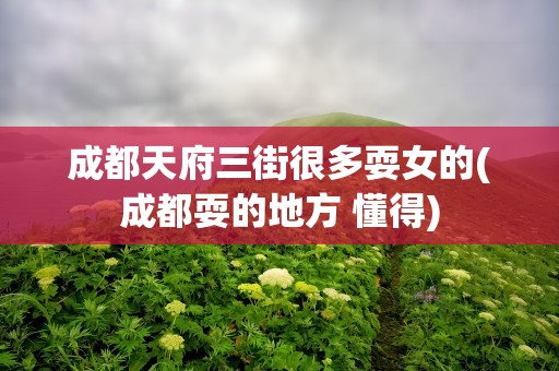 成都天府三街很多耍女的(成都耍的地方 懂得)