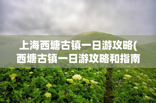 上海西塘古镇一日游攻略(西塘古镇一日游攻略和指南)