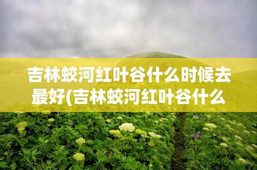 吉林蛟河红叶谷什么时候去最好(吉林蛟河红叶谷什么时候去最好玩)