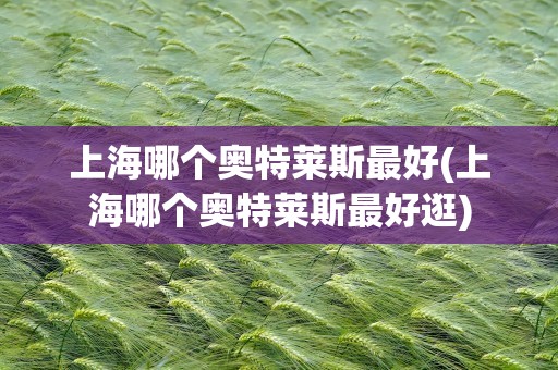 上海哪个奥特莱斯最好(上海哪个奥特莱斯最好逛)