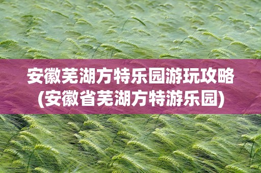 安徽芜湖方特乐园游玩攻略(安徽省芜湖方特游乐园)