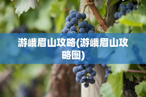 游峨眉山攻略(游峨眉山攻略图)