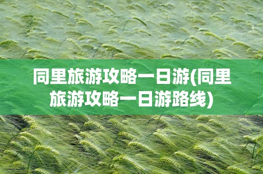 同里旅游攻略一日游(同里旅游攻略一日游路线)
