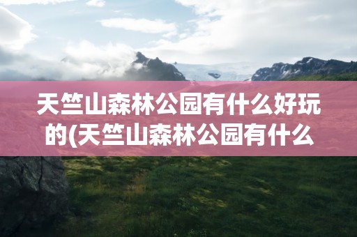 天竺山森林公园有什么好玩的(天竺山森林公园有什么好玩的吗)