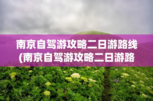 南京自驾游攻略二日游路线(南京自驾游攻略二日游路线图)