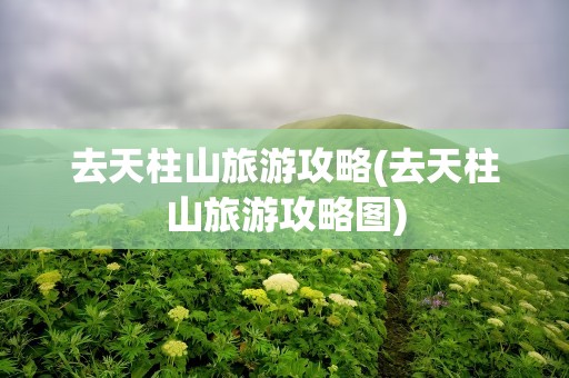 去天柱山旅游攻略(去天柱山旅游攻略图)