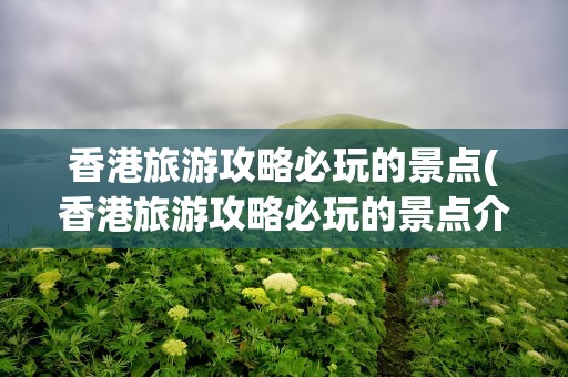 香港旅游攻略必玩的景点(香港旅游攻略必玩的景点介绍)