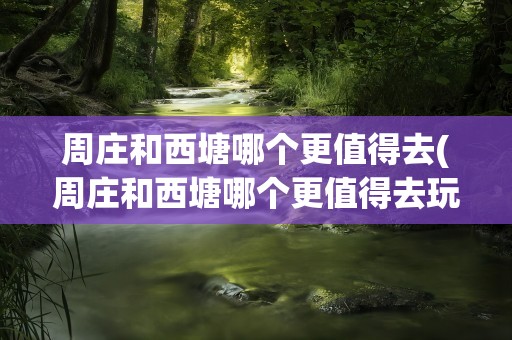 周庄和西塘哪个更值得去(周庄和西塘哪个更值得去玩)