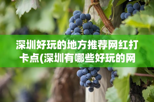 深圳好玩的地方推荐网红打卡点(深圳有哪些好玩的网红地点)