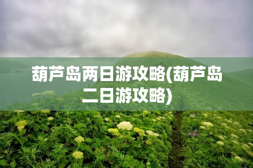 葫芦岛两日游攻略(葫芦岛二日游攻略)