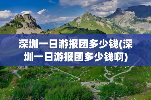 深圳一日游报团多少钱(深圳一日游报团多少钱啊)