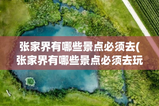 张家界有哪些景点必须去(张家界有哪些景点必须去玩)