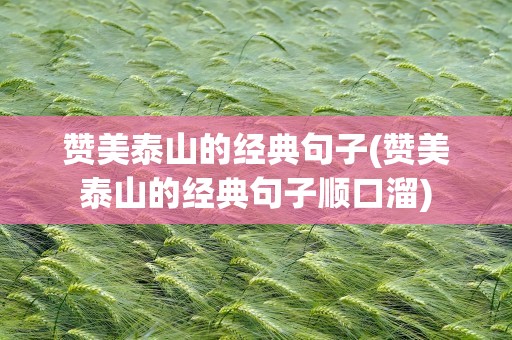 赞美泰山的经典句子(赞美泰山的经典句子顺口溜)