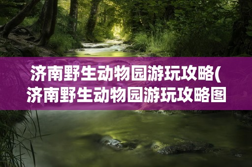 济南野生动物园游玩攻略(济南野生动物园游玩攻略图)
