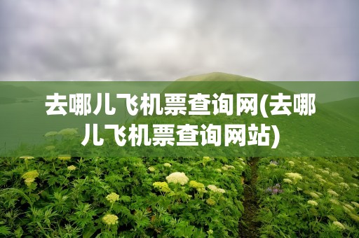 去哪儿飞机票查询网(去哪儿飞机票查询网站)