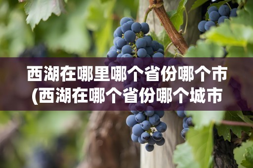 西湖在哪里哪个省份哪个市(西湖在哪个省份哪个城市)