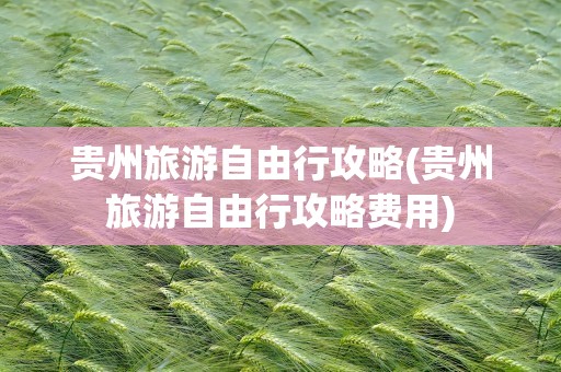 贵州旅游自由行攻略(贵州旅游自由行攻略费用)