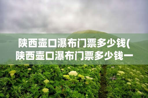 陕西壶口瀑布门票多少钱(陕西壶口瀑布门票多少钱一张)