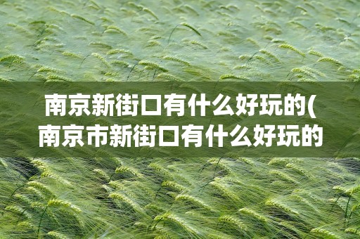 南京新街口有什么好玩的(南京市新街口有什么好玩的)