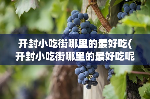 开封小吃街哪里的最好吃(开封小吃街哪里的最好吃呢)