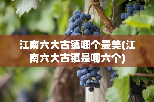 江南六大古镇哪个最美(江南六大古镇是哪六个)
