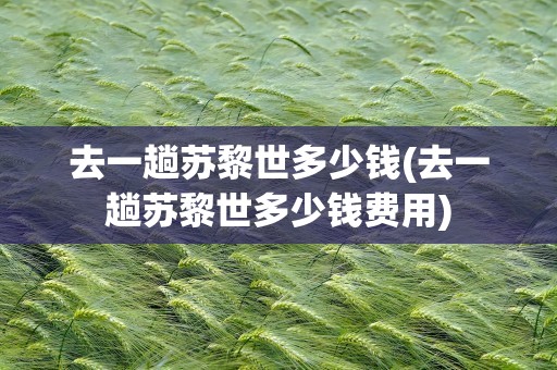 去一趟苏黎世多少钱(去一趟苏黎世多少钱费用)
